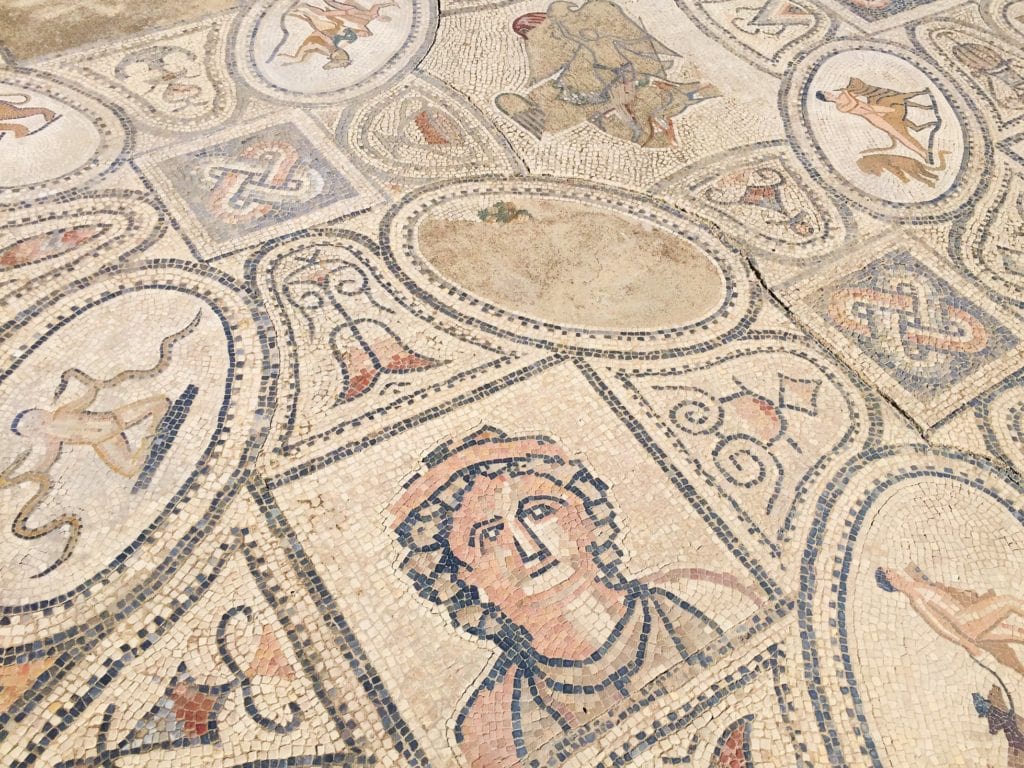 Volubilis mosaic of Hercules