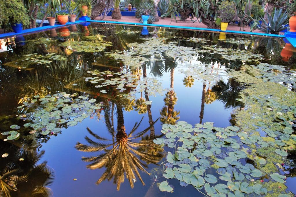 Majorelle Gardens, Marrakech