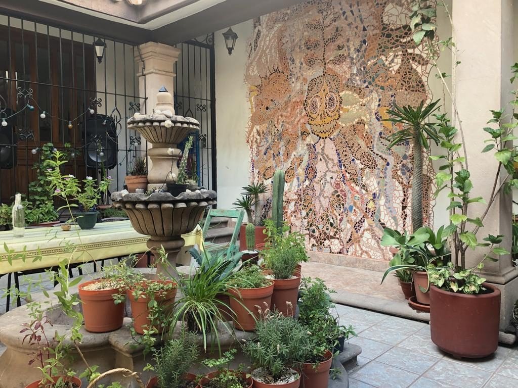 interior courtyard of the Hostal Centro Oaxaca