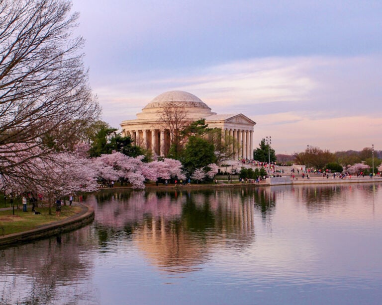 Jefferson Memorial and Tidal Basin with cherry blossoms