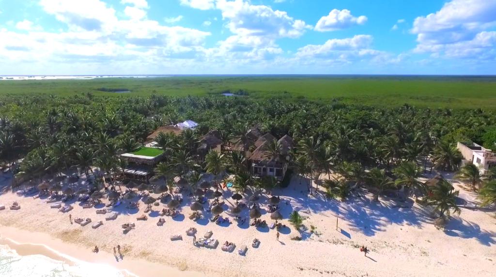 Los Amigos Beach Hotel Boutique