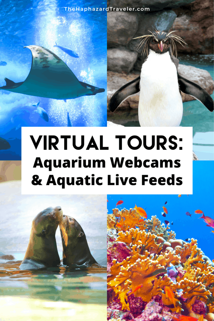 Virtual Tours - Aquarium Live Feeds