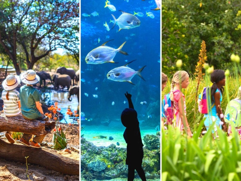 virtual field trips for kids - virtual travel for kids