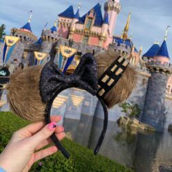 fuzzy Chewbacca mouse ears