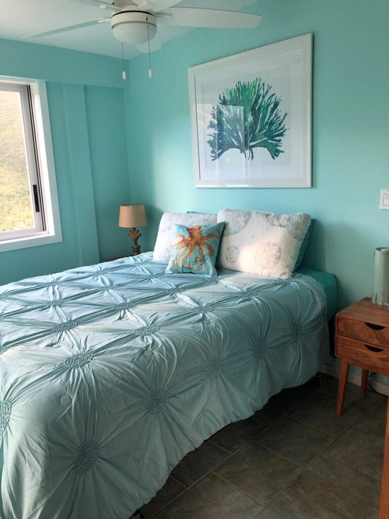 Paradisea Villa - Coral Bay Airbnb St. John - bedroom