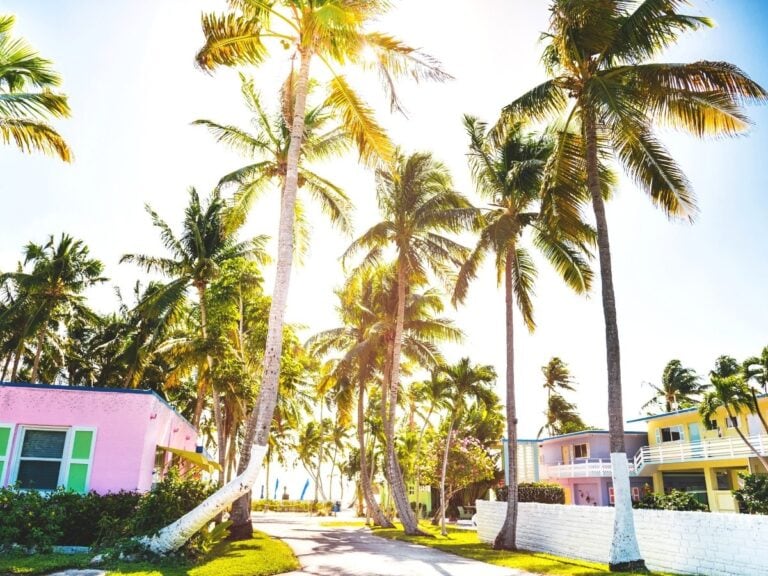 Best Key West Airbnb - Airbnb Key West Fl - Airbnbs in Key West