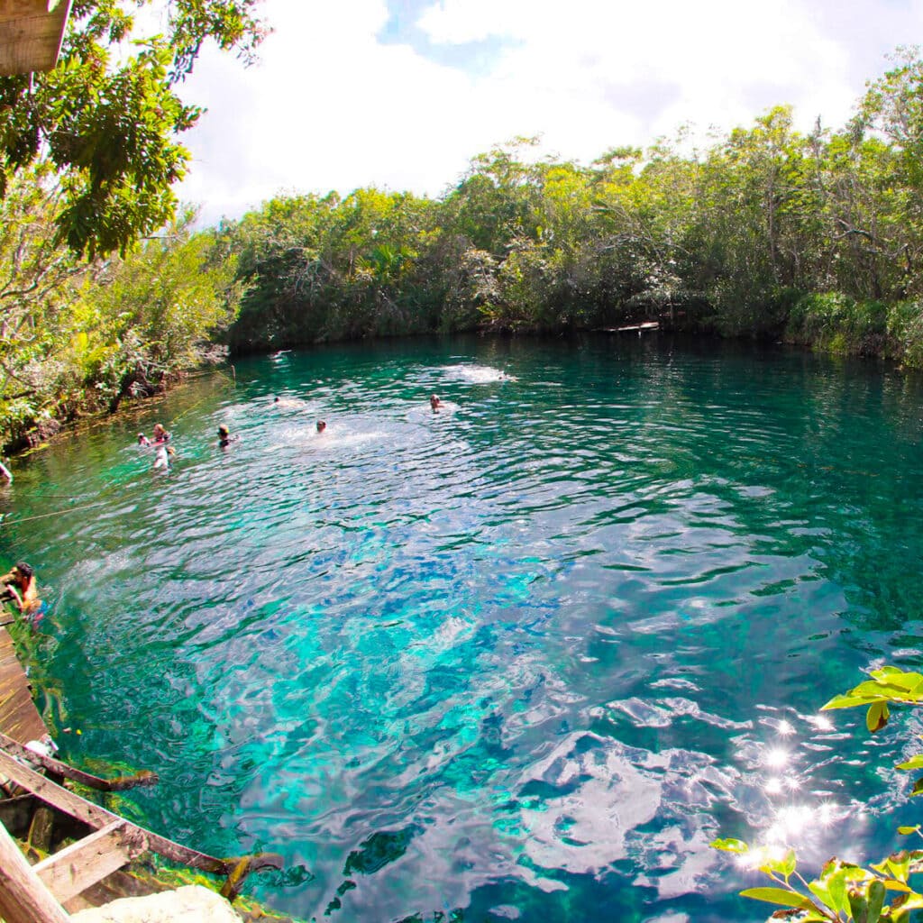 Cenote Aktun Ha - Tulum things to do