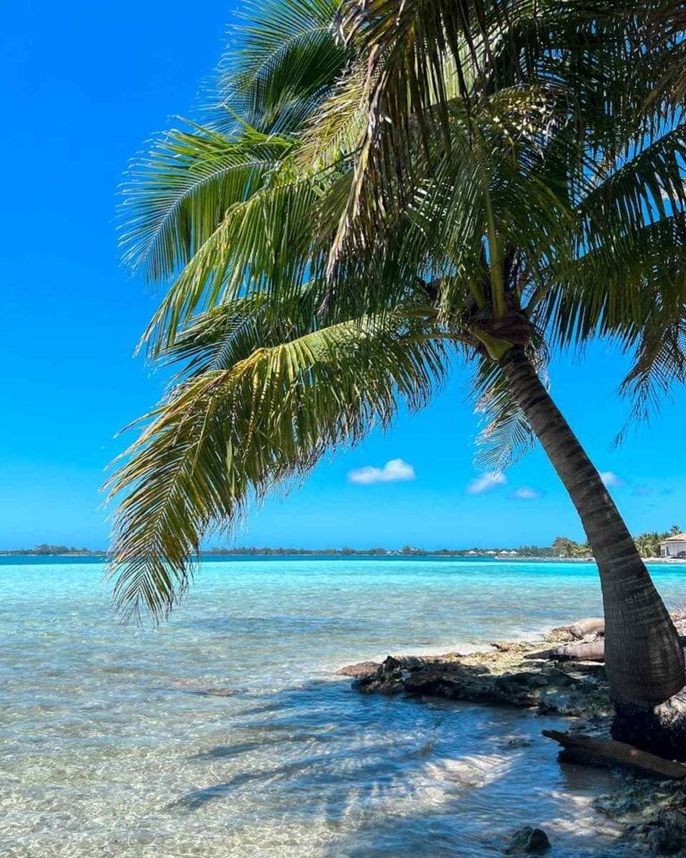 Water Caye - Utila Honduras