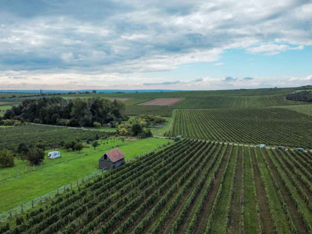 Podyji National Park - Moravian Wine Trail