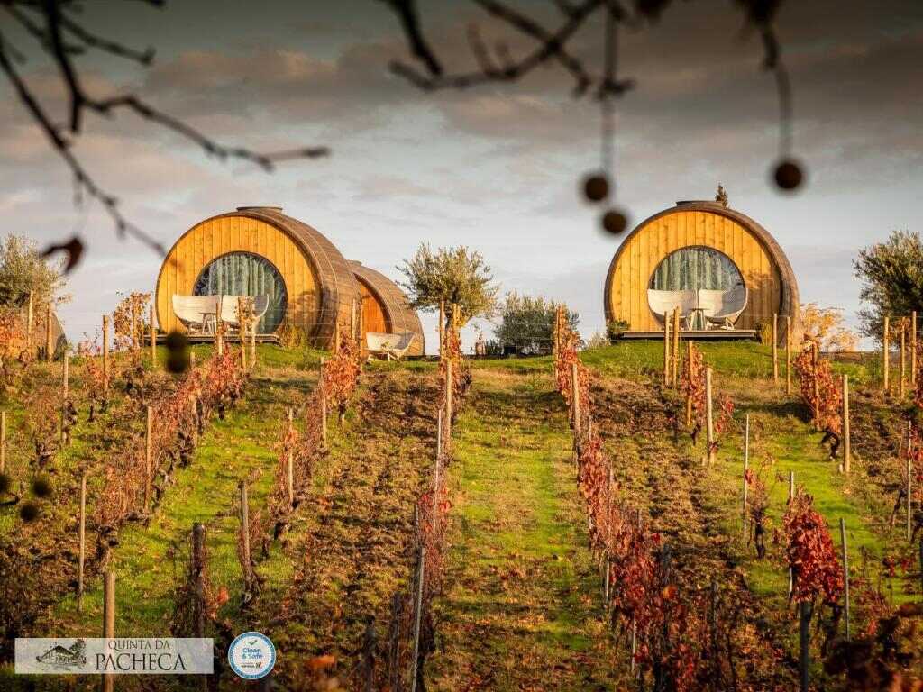 Quinta da Pacheca - best place to stay in Lamego