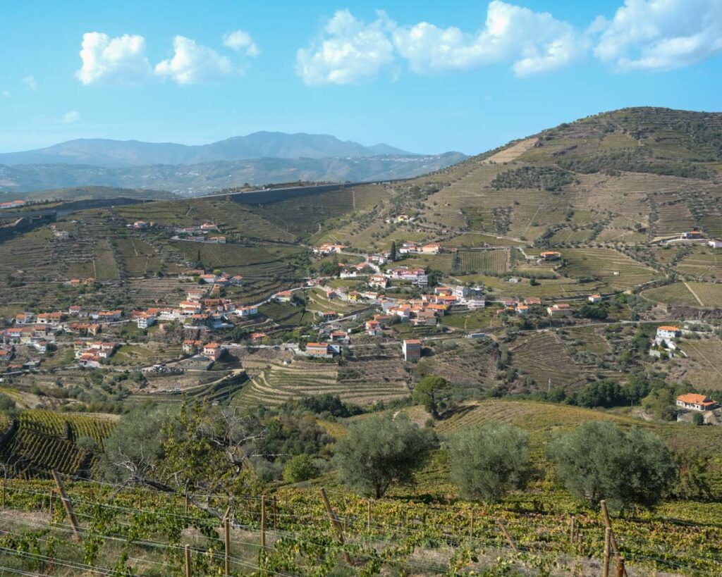 Quinta da Portela da Baixo viewpoint