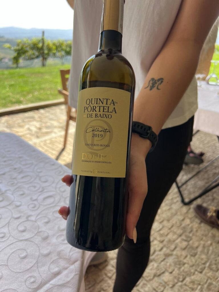 Quinta da Portela de Baixo winery visit