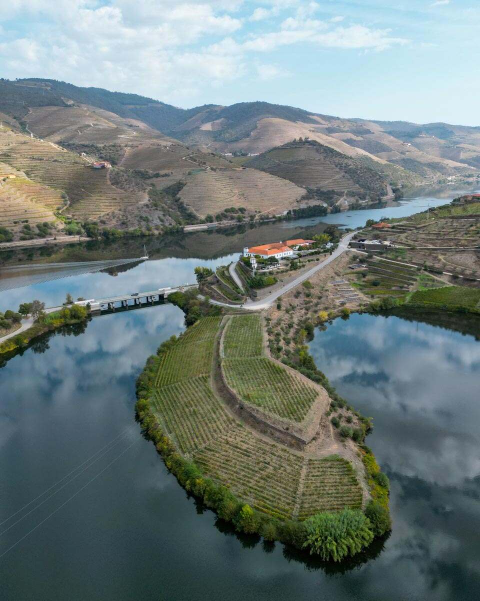Quinta do Tedo - Douro Valley vineyard visit