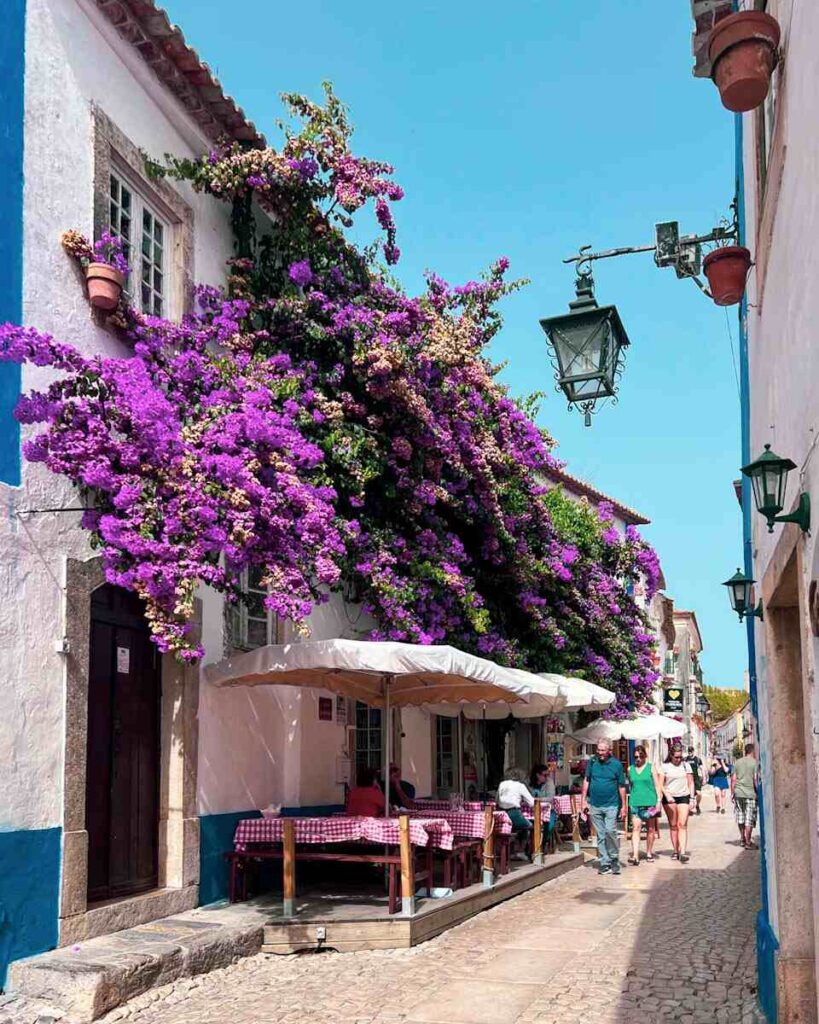 Rua Direta Obidos