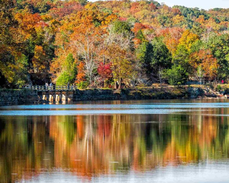 Things to do in Montgomery County Maryland(1)