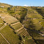 terraced vineyards Lamego Portugal