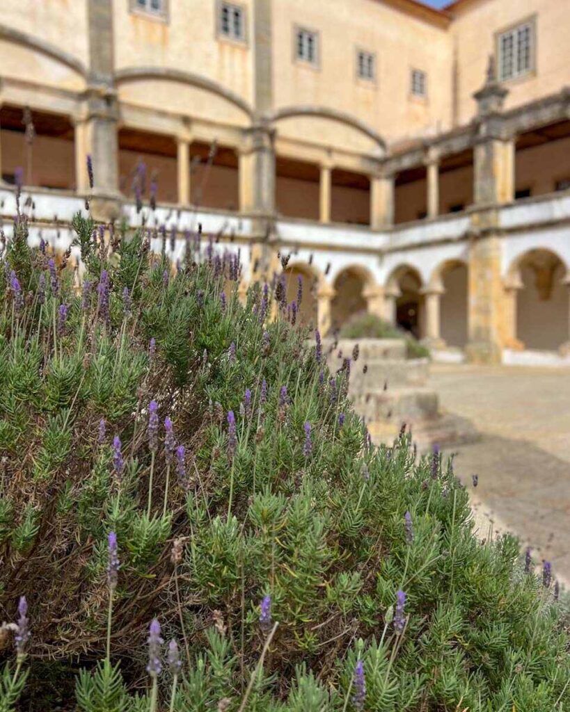 Convento do Cristo Tomar
