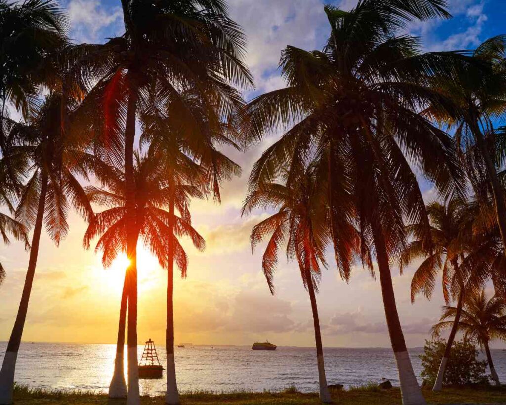 When to visit Isla Mujeres