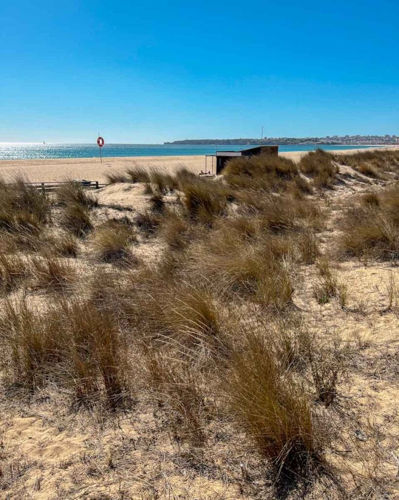 dunes at Meia Praia