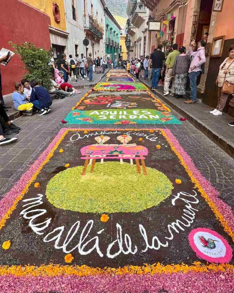 flower carpets in Guanajuato