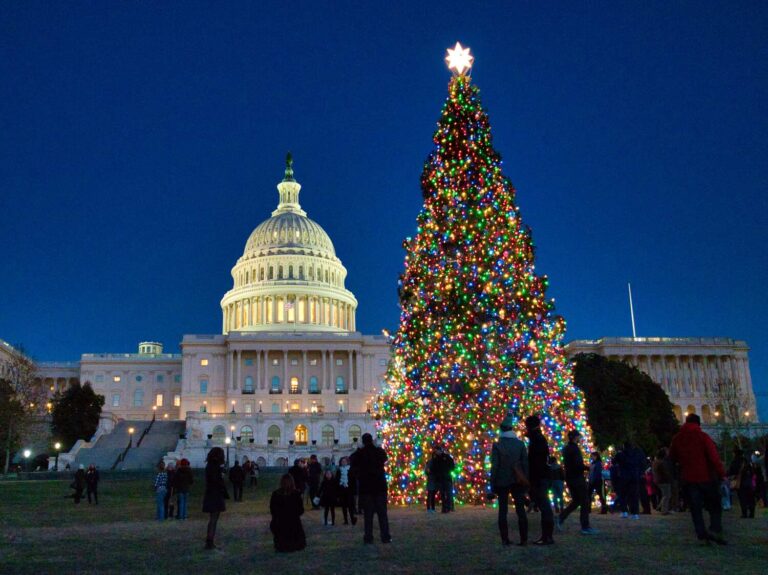 Christmas in Washington DC