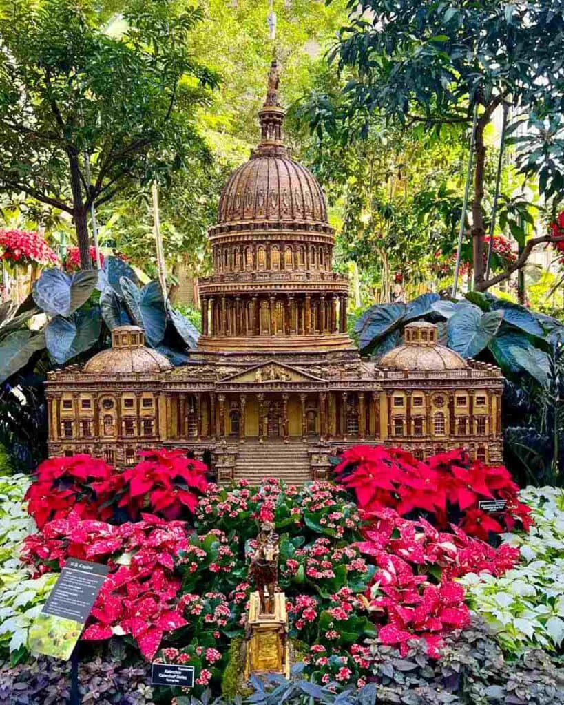 US Capitol - Seasons Greenings at the US Botanic Garden