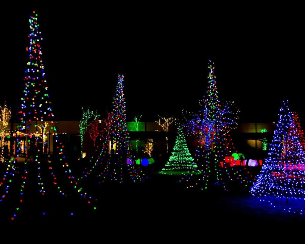 outdoor light display