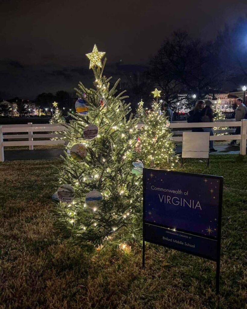 state and territory trees - National Christmas Tree