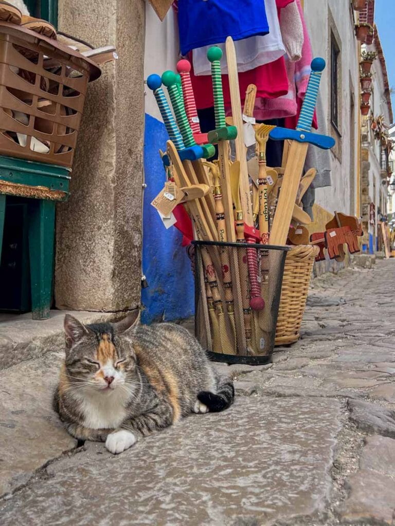 shopkeeper in Obidos