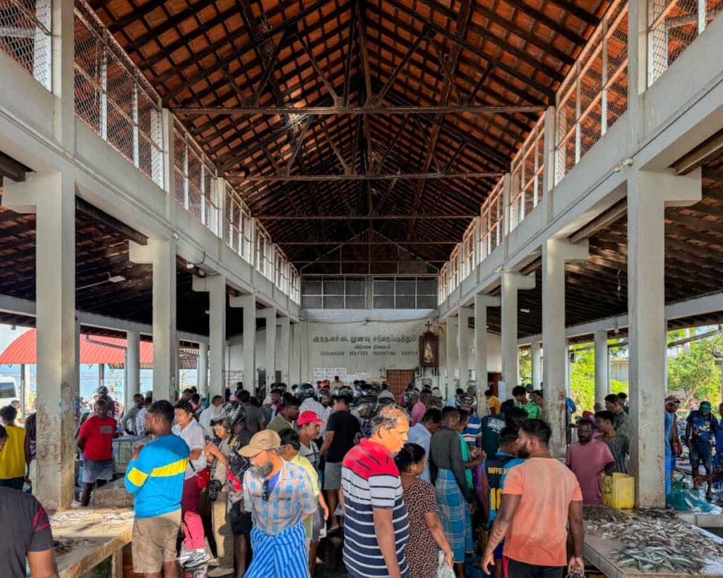 Gurunagar Fish Market in Jaffna Sri Lanka
