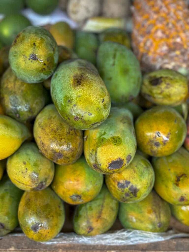 Jaffna mangoes