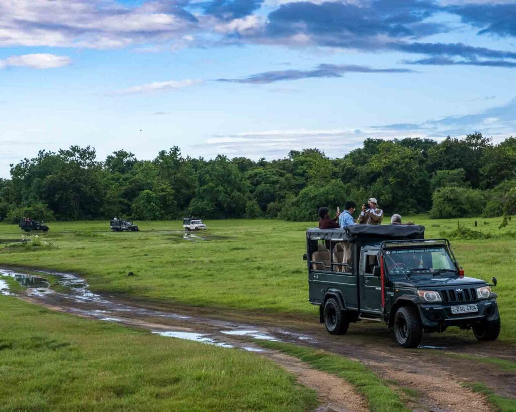 Kaudulla National Park tours