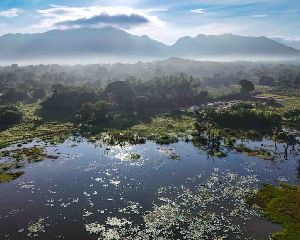 Sri Lanka Travel Tips - best time to visit