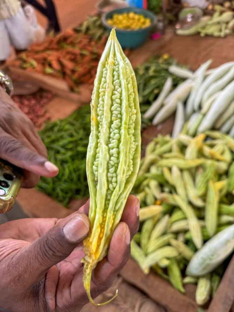 bitter gourd