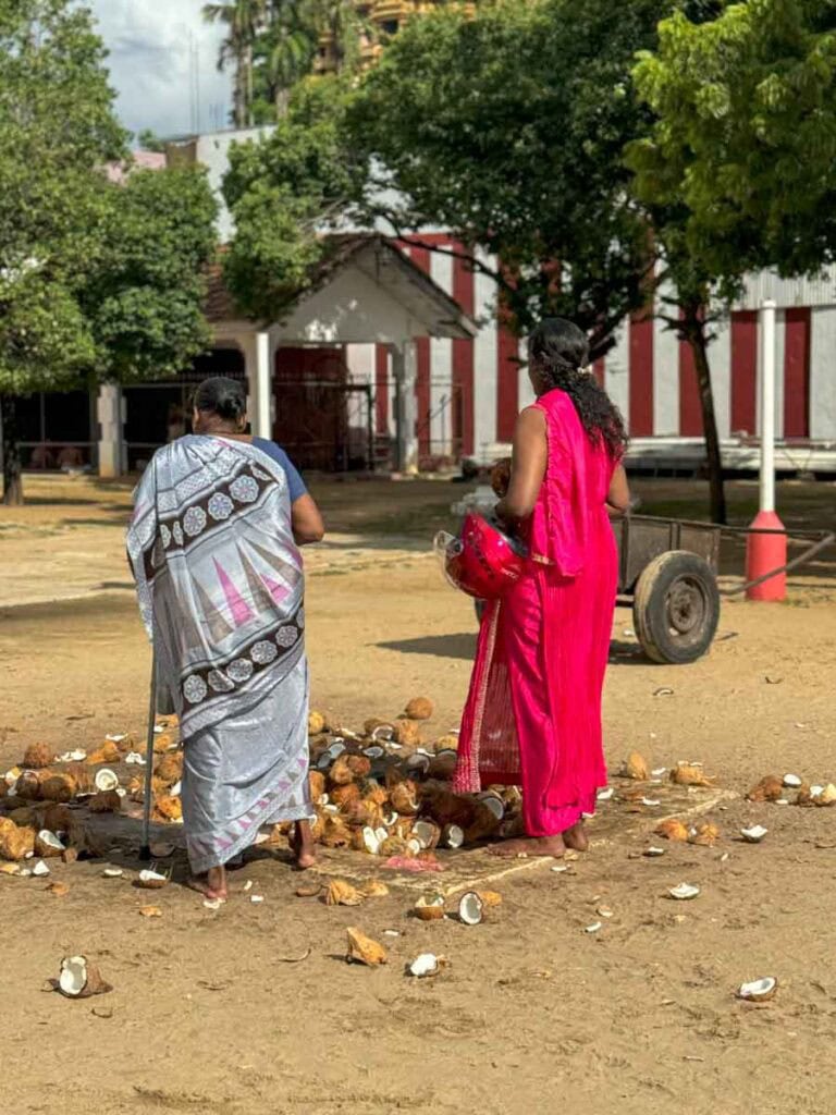 breaking coconuts at Nallur Kandaswamy Kovil