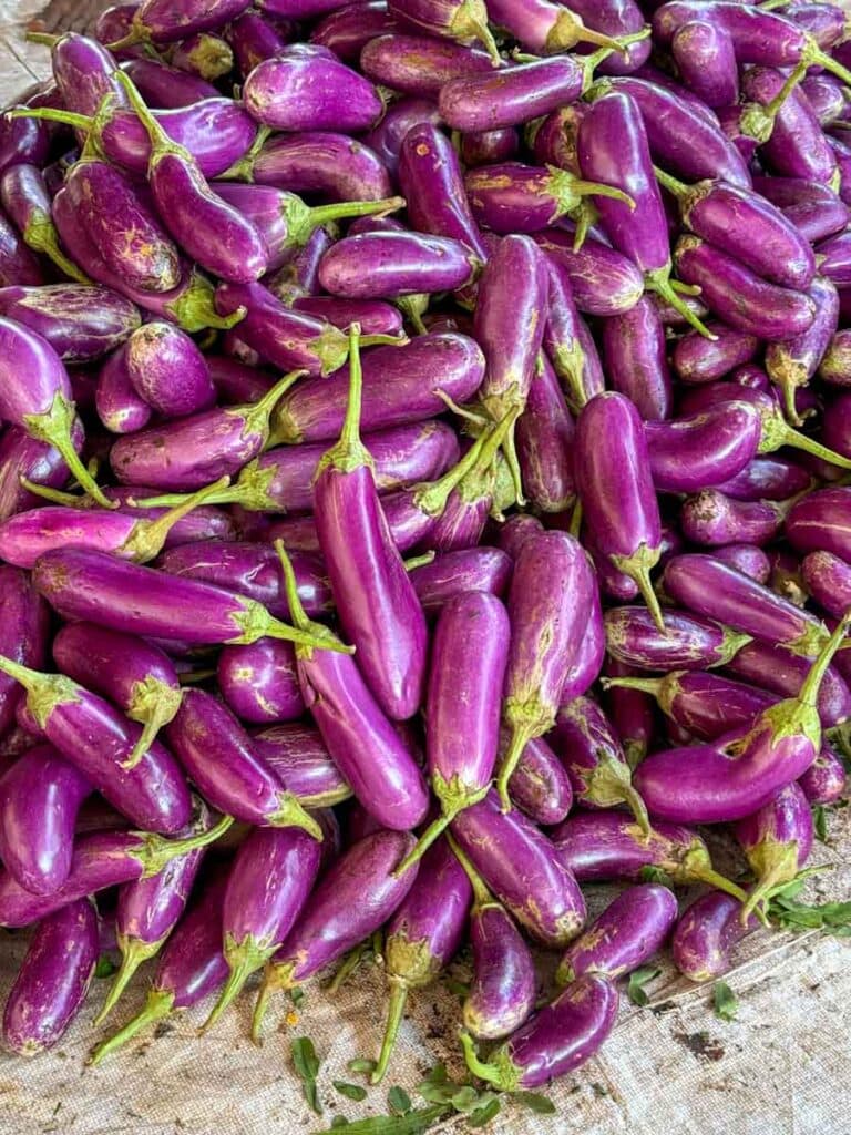 brinjal - eggplant