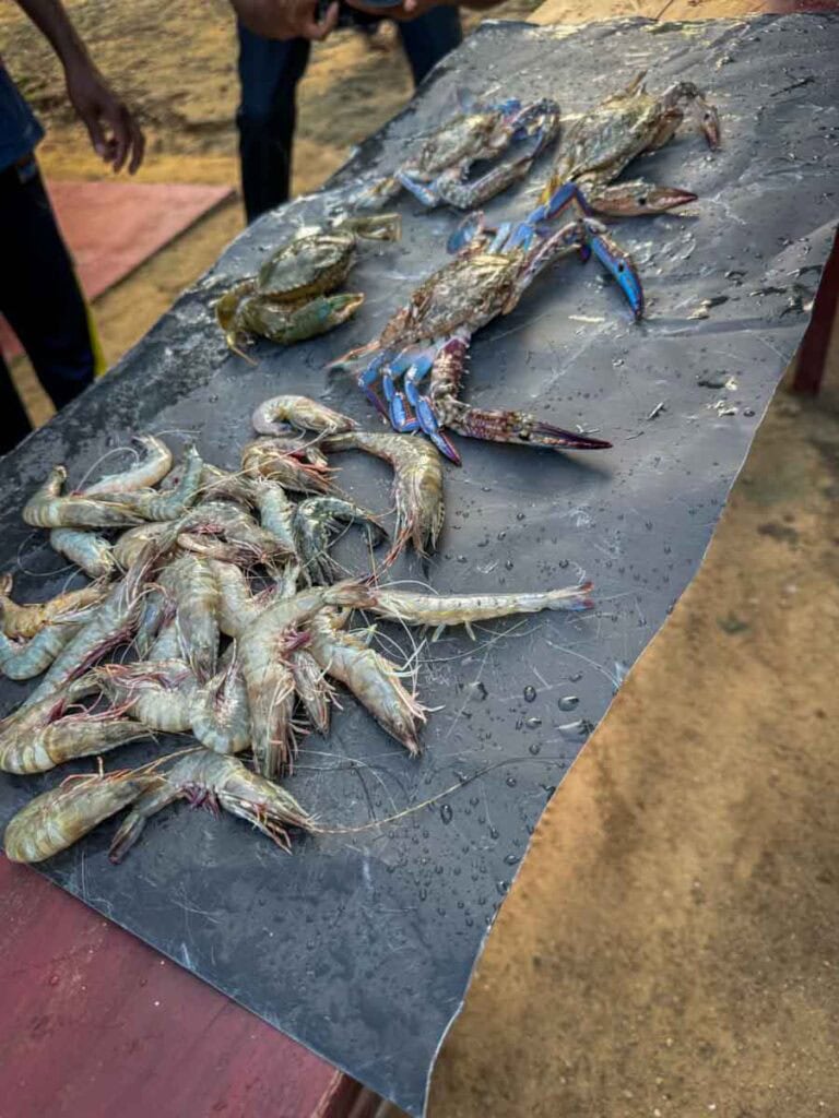 ingredients for Jaffna crab curry