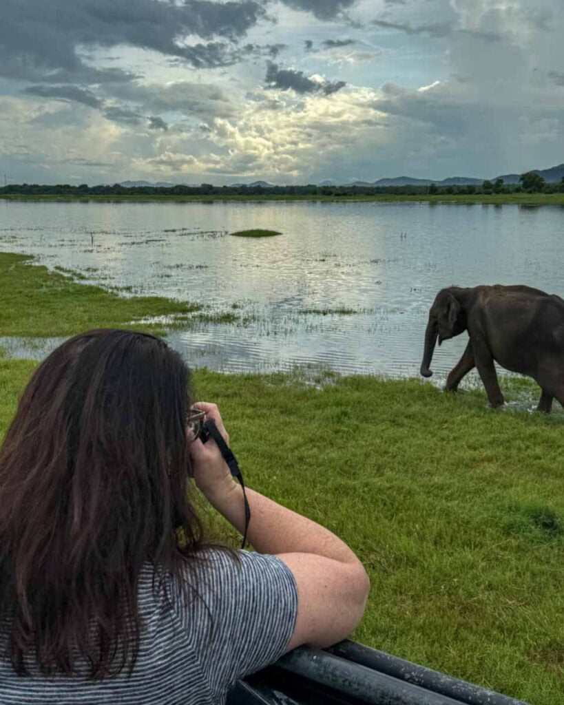 photographing elephants at Kaudulla