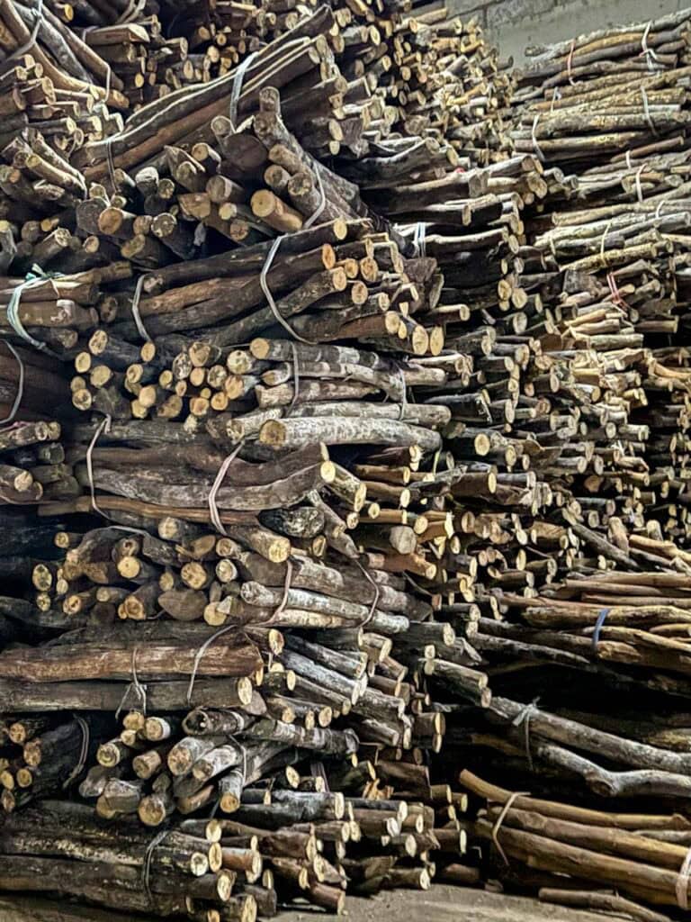 cinnamon wood used for energy production