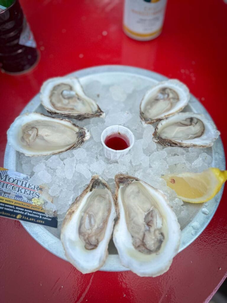 oysters from Mother Shuckers - Jean Talon Market