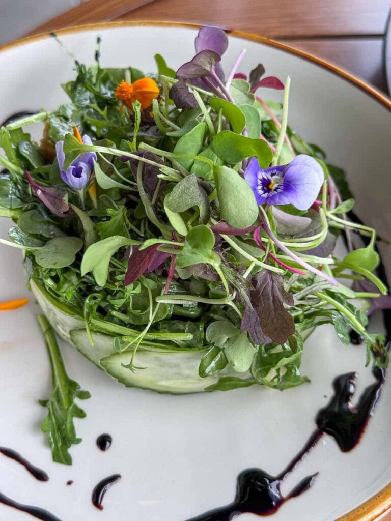 salad - meal at terrasse cielo rooftop