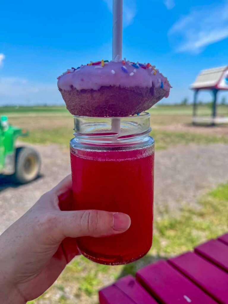 strawberry slushie and donut at Ferme Forget