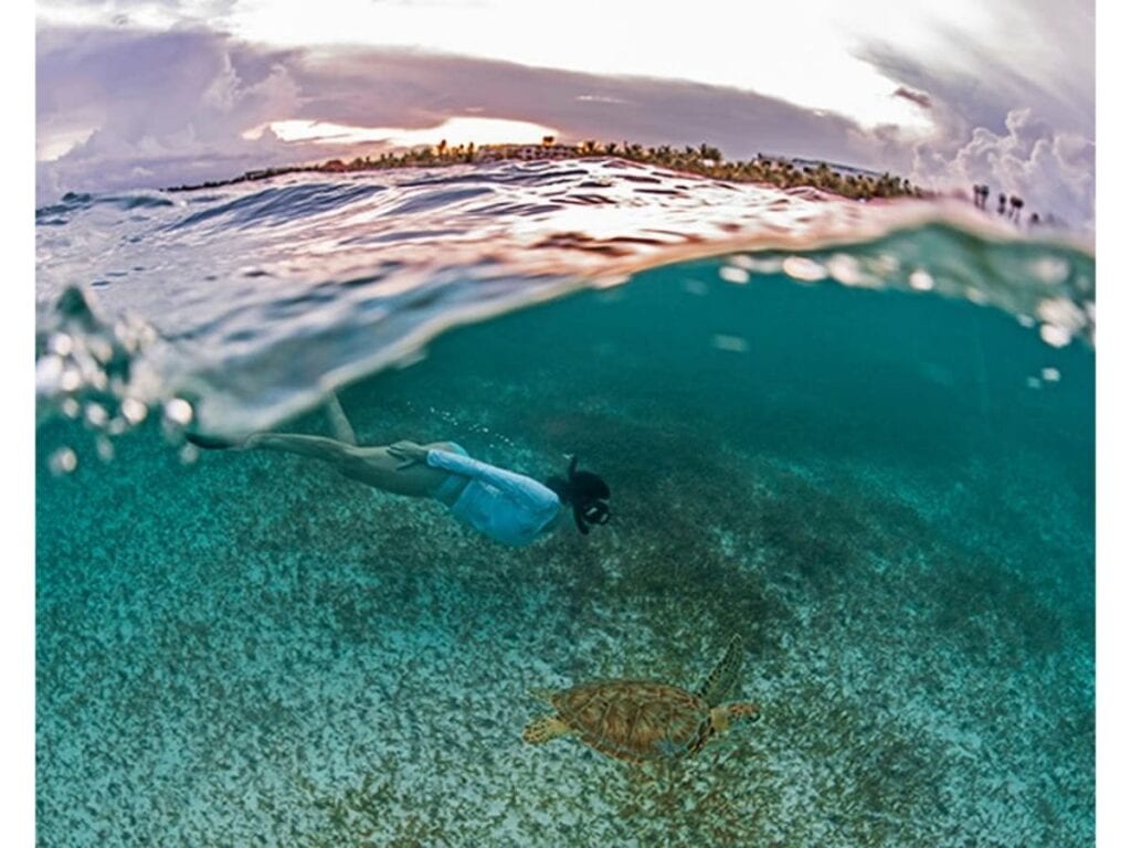 Secrets Akumal - snorkeling from the beach with turtles